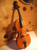 mini-viool (2)