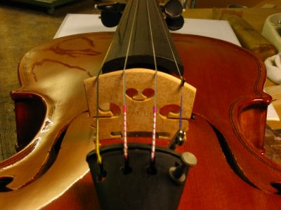 close up viool hals kam snaren en stemsleutels